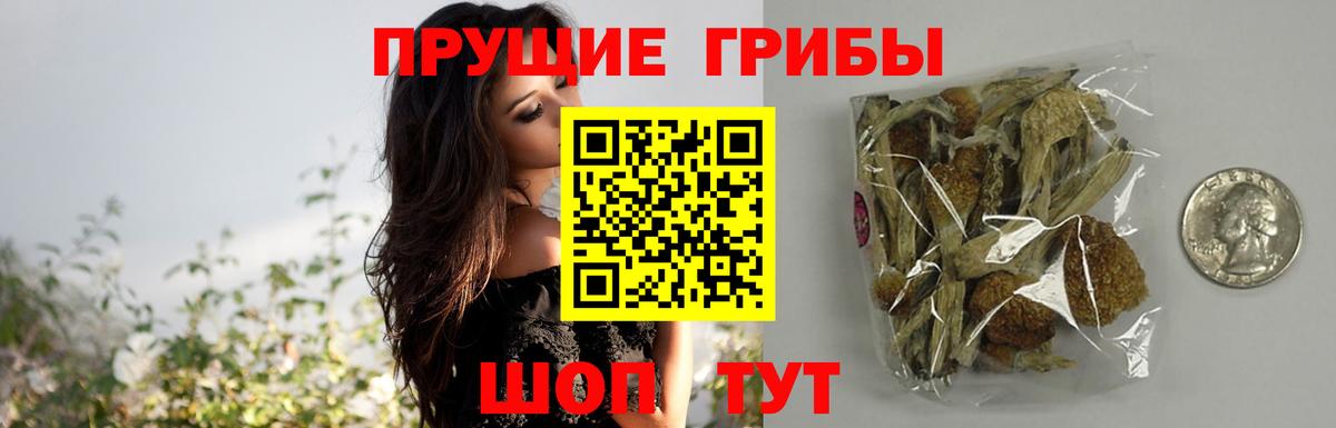 где купить наркотик  Вход с VPN  Псилоцибиновые грибы Psilocybine cubensis  Моздок  Псилоцибиновые грибы MAGIC MUSHROOMS 